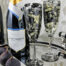 champagne flute glasses british wild animals Badgers with Nyetimber sparkling wine