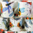 Mug with big bugs, butterfly's and bees